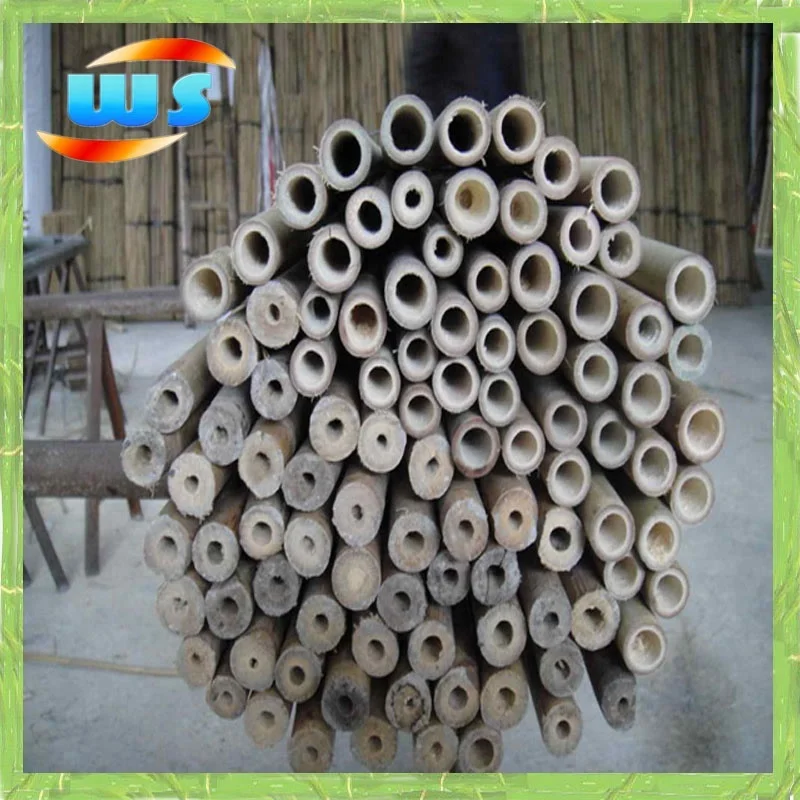 210cm Bamboo cane for garden