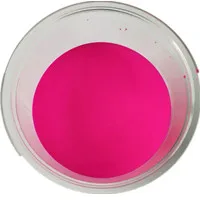 Waterborne fluorescent liquid pigment water-based neon dye