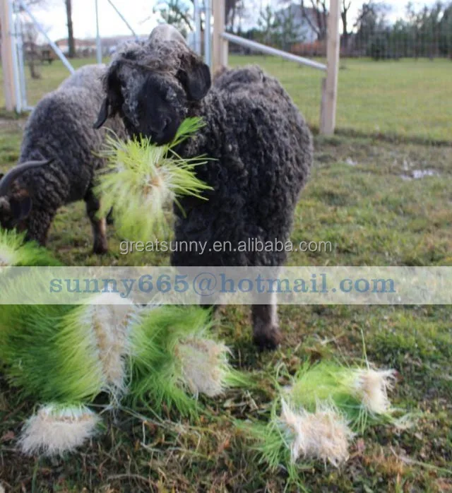 Animal fodder sprout machine./barley/wheat/ oats/hydroponics equipment