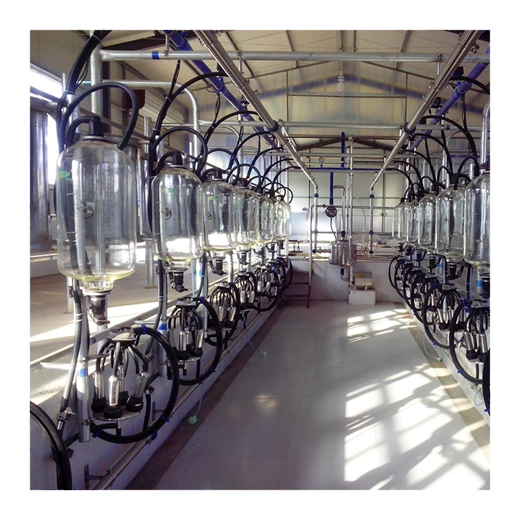 Hot sale automatic milking system cow milking parlour