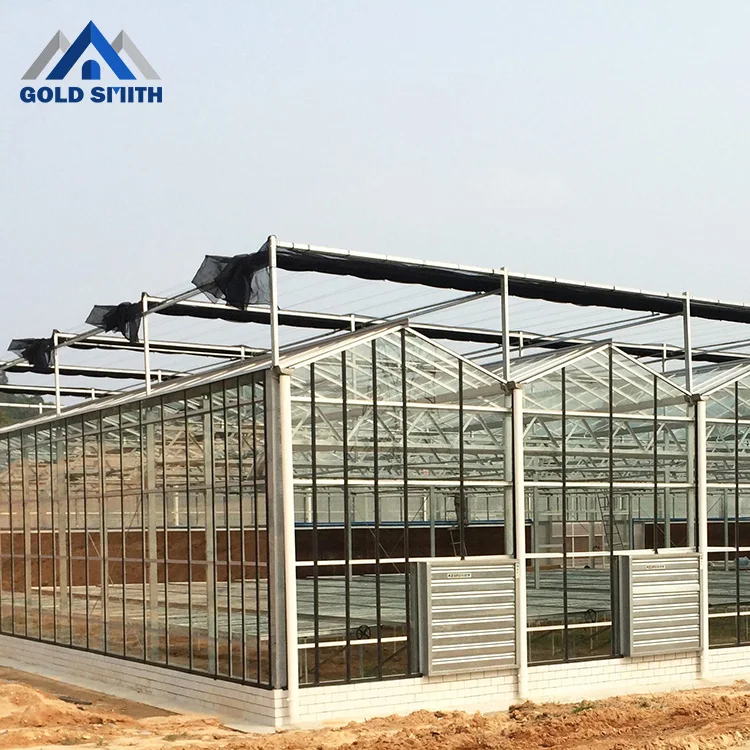 Стеклянная теплица с горячей оцинкованной стальной конструкцией, 40 м * 50 м