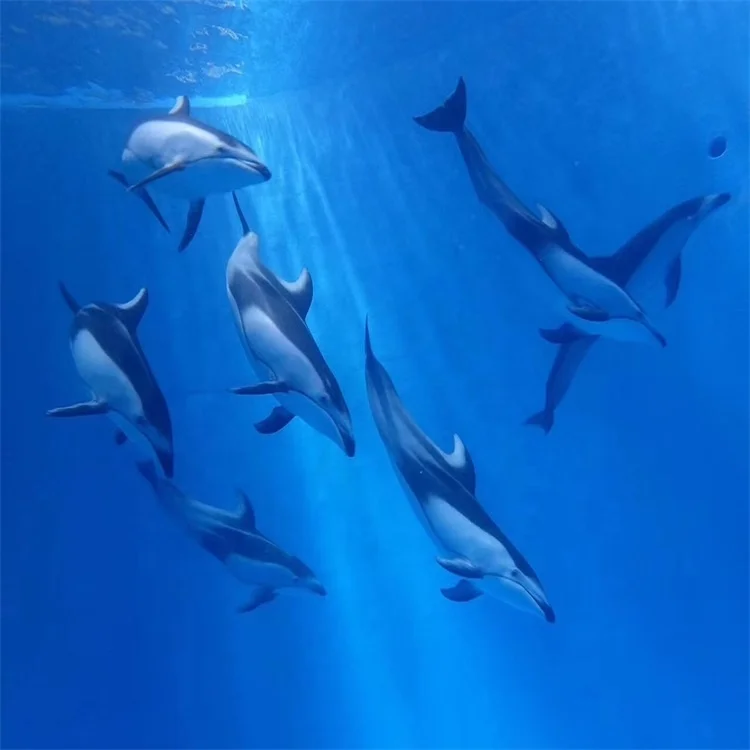 hot popular plexi glass round acrylic sheets aquarium fish tank