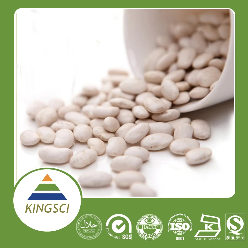 
White Kidney Bean Extract 10:1 20:1 Phaseolin1% 