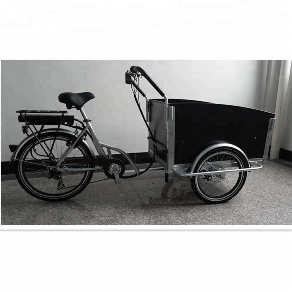 UB9031E School bus Three wheel Electric Cargo Bike/adult e-cargobike/electric cargobike