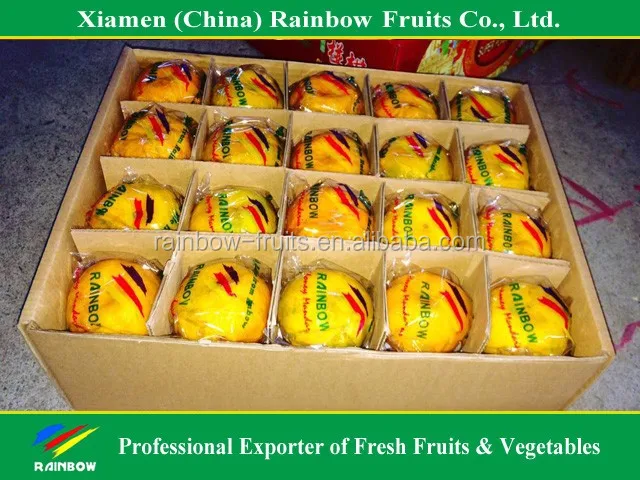 
fresh citrus/fresh mandarin/chinese lokam/honey mandarin 