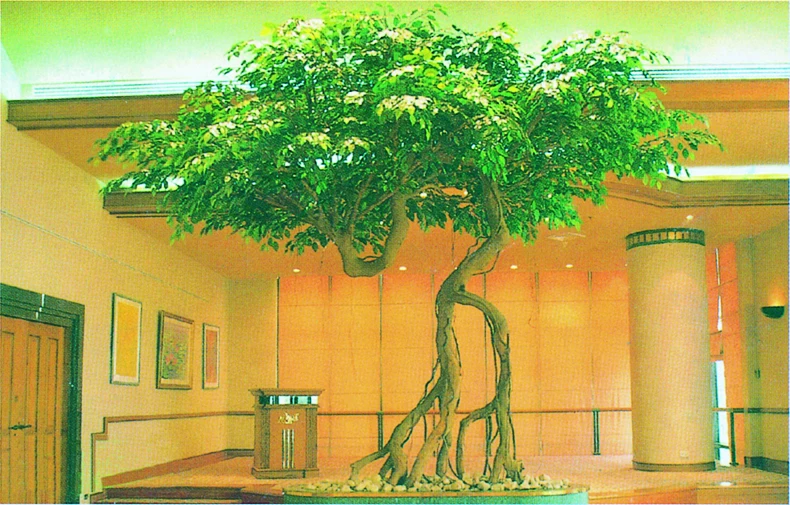 Artificial Wish Tree / Banyan Tree/Ficus Trees