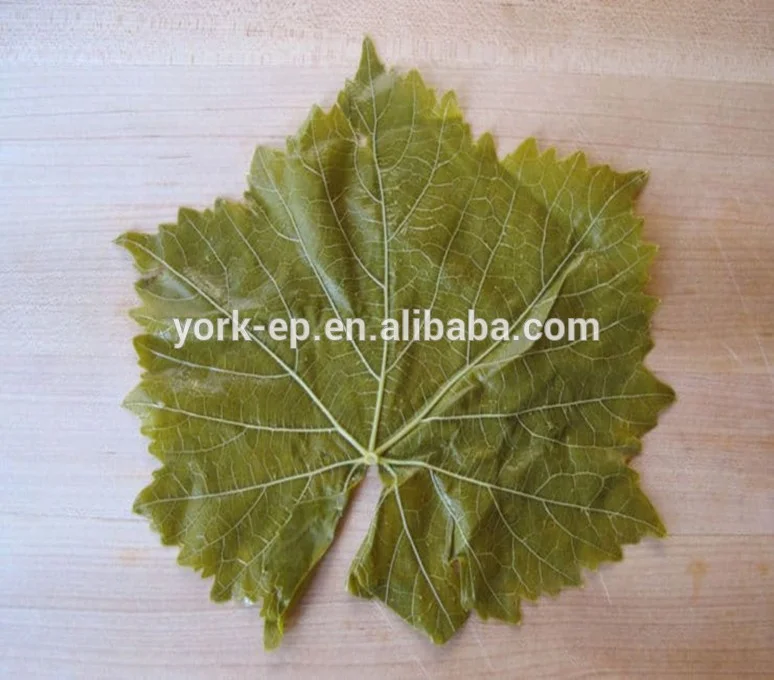 
Fresh style salted grape leaves in brine 