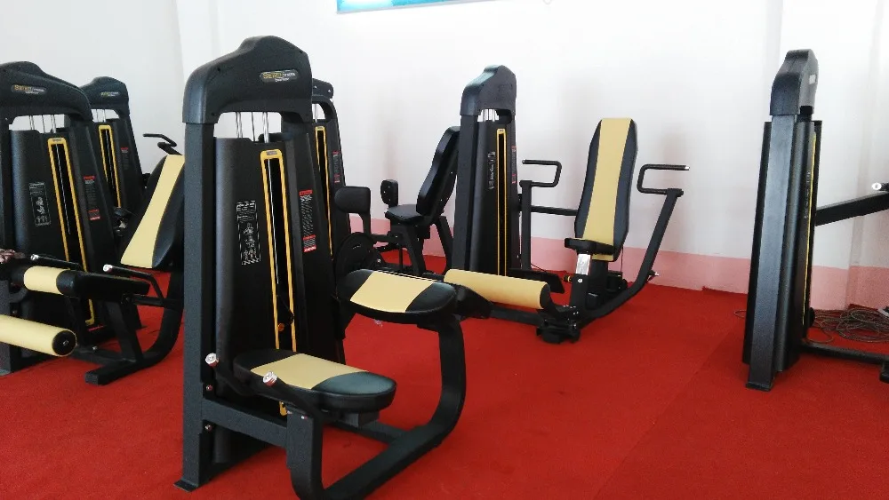 gym fitness equipment back extension bench