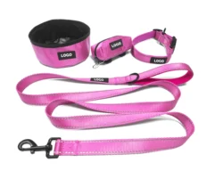 Durable Pet Dog Leash and Collar,with Dog Bowl,Dog Poo Bag Holder for a Set