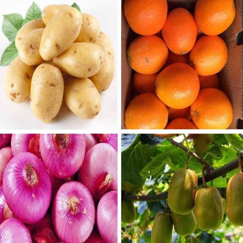 New Design Tilapia Sorter Grader Sorting Grading Machine