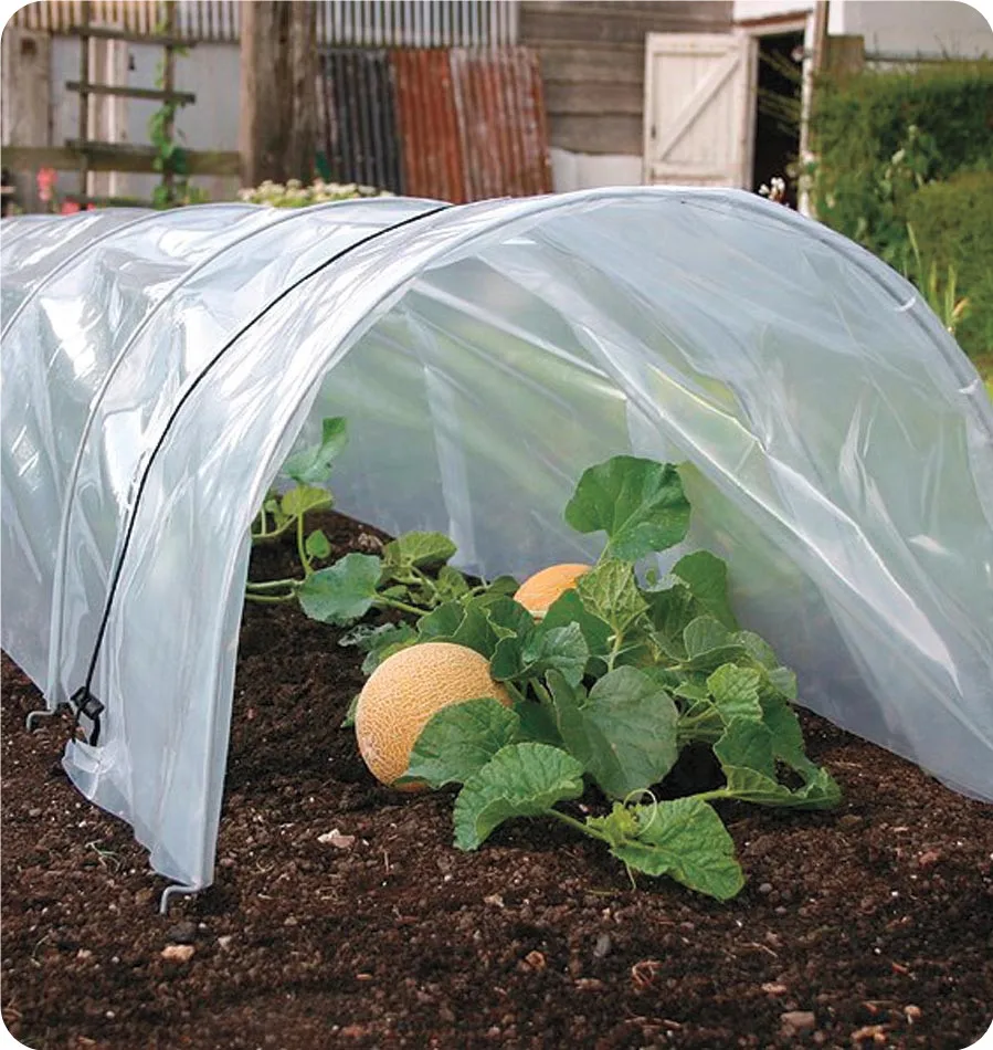 
Cover plastic film for greenhouse 