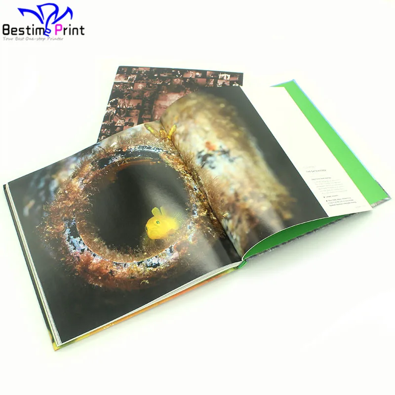 China Cheap Hardcover Art Book Printing Services