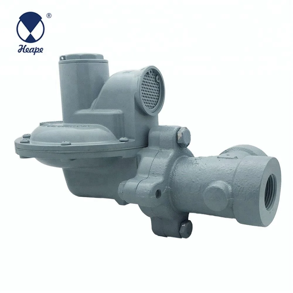 
HEAPE 1 Bar Angle Natural Gas Pressure Regulator 