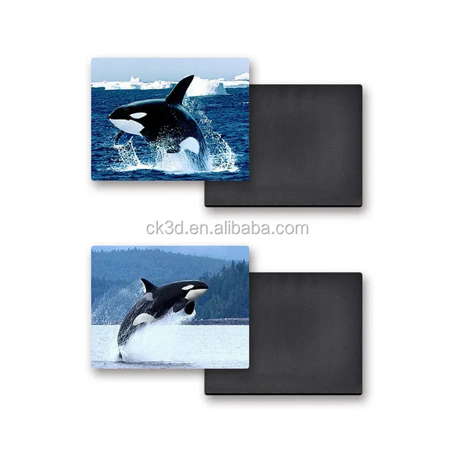 Personal photo frame fridge magnet, 3d lenticular logos china fridge magnet