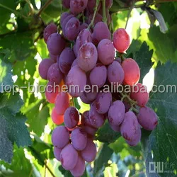 
Grape Seed Extract 95% Proanthocyanidins Vitis Vinifera L. 84929-27-1 