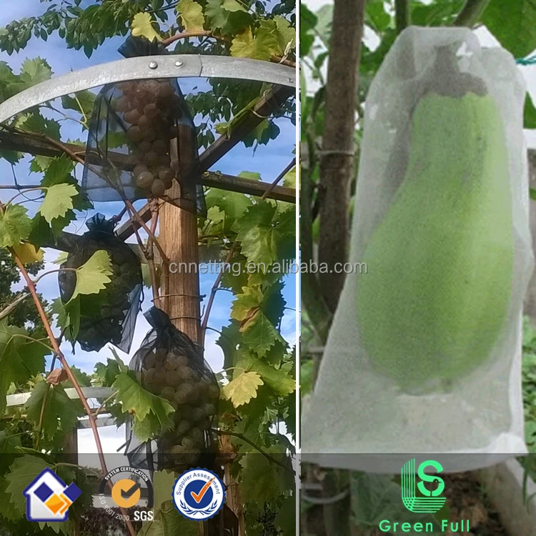 fruit net protect bag anti insect mesh net
