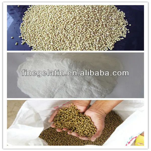 
hydrolyzed collagen type II 