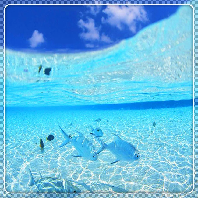 
EM Aquaculture probiotics for water treatment prevent Cyanobacteria water 