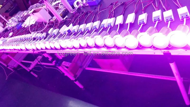 RGBW 3*8W (4IN1) LED ceiling lamp,RGBW LED ceiling light with 3 years warranty