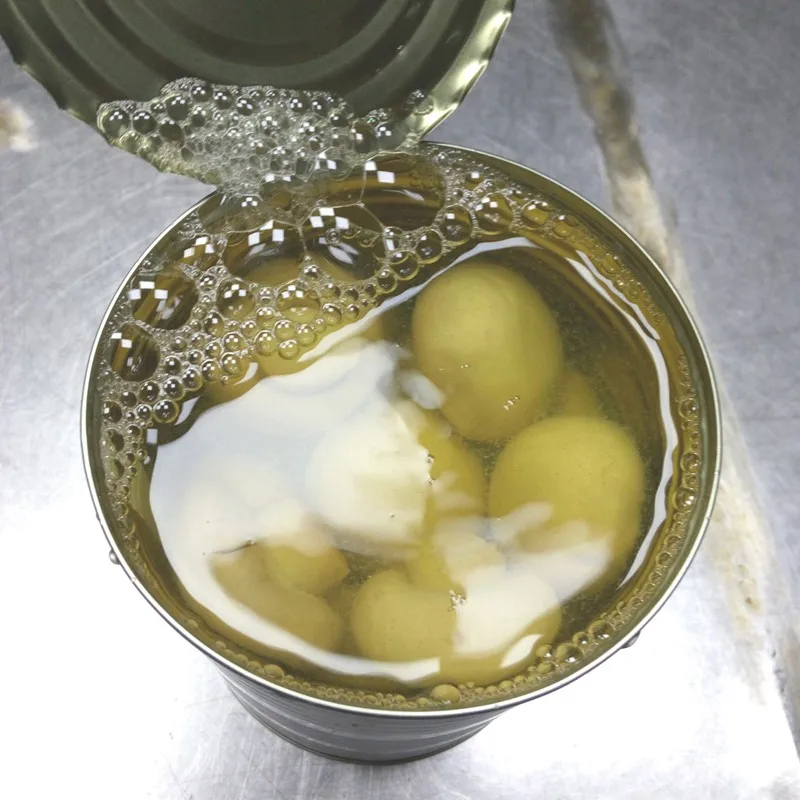 fresh white button mushroom in tin