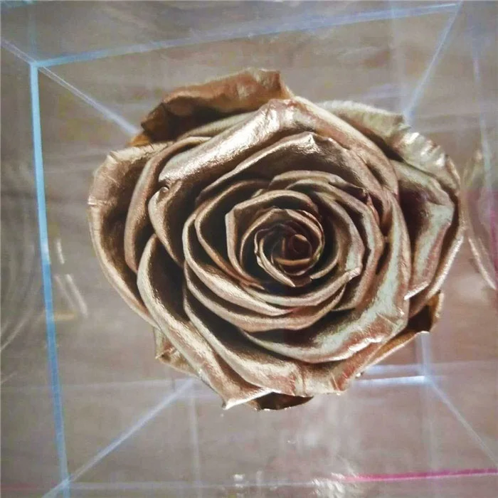 Wholesale 1 roses eternal rose single  preserved rose in acrylic box