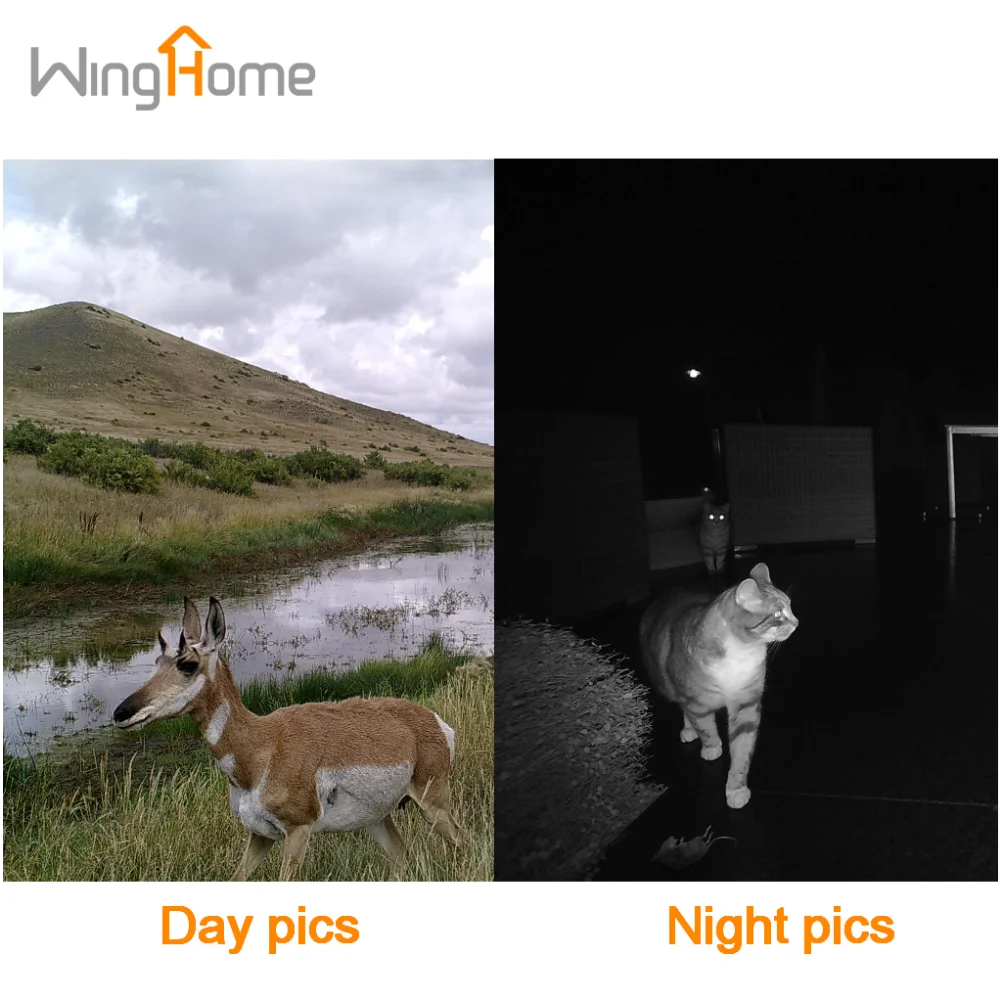 WingHome 350CG наружная Водонепроницаемая SMS MMS 3G Инфракрасная камера ночного видения для охоты 1080P