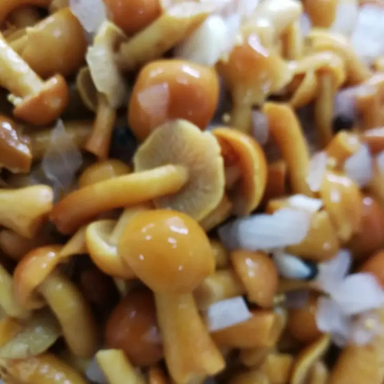 Новый сезон консервы чешуйчатка съедобная грибы маринованные с низкой ценой