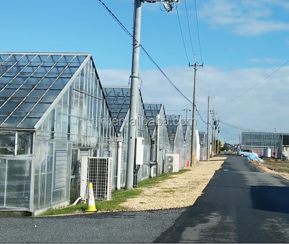 Высококачественные туннельные сельские теплицы для сельского хозяйства