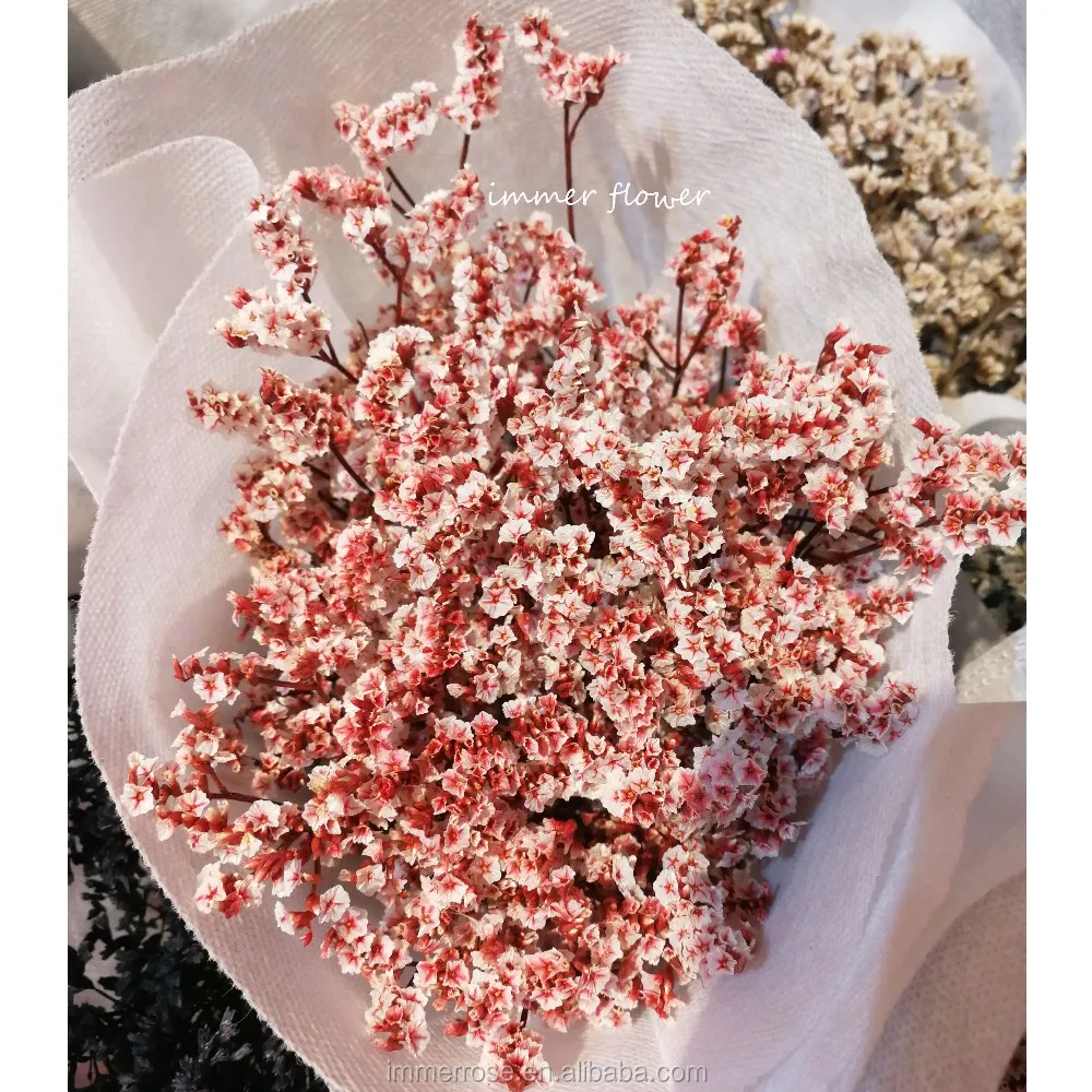 
Preserved Flower Crystal Grass Bouquet Dry Flower Cheap Wholesale 