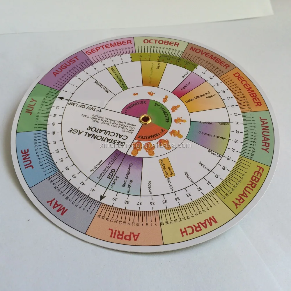 BMI Calculator wheel /Pregnancy Due Date Calculator/BMI medical wheel