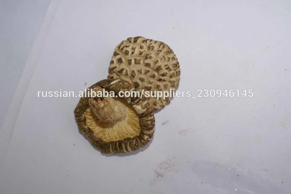 Китайские грибы шиитаке