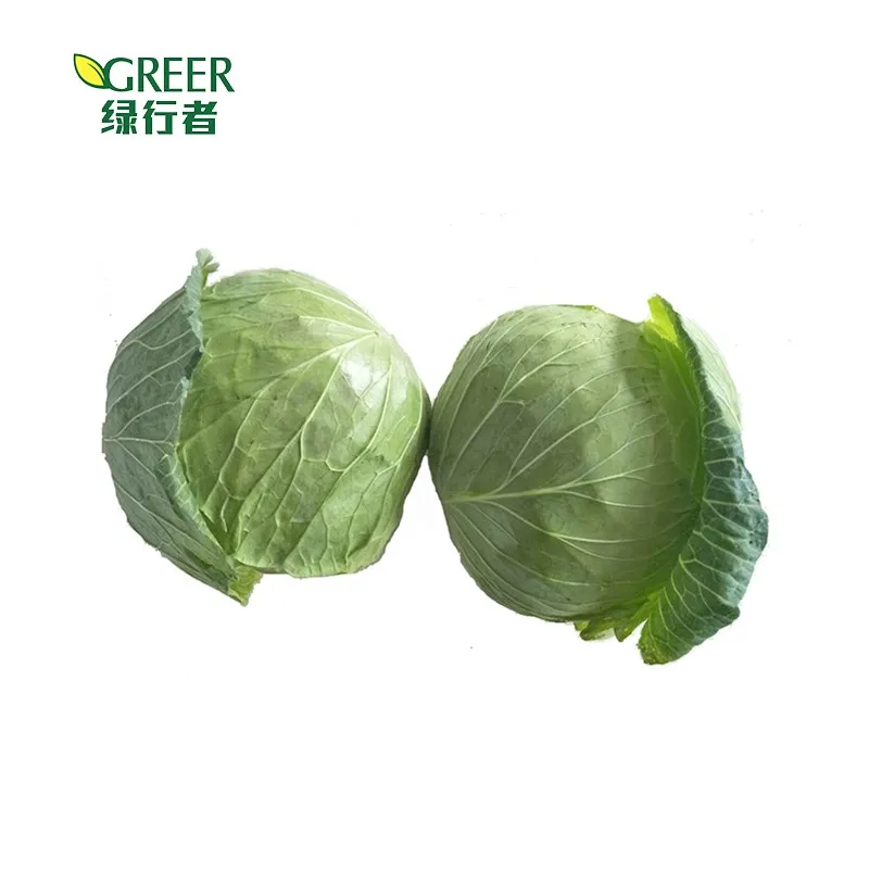 Cabbage fresh bok choy fresh vegetables