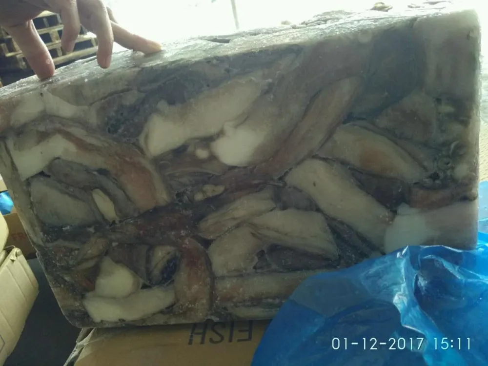 wholesale frozen cheap giant squid tentacles fish bait Squid Sexual Tentacles