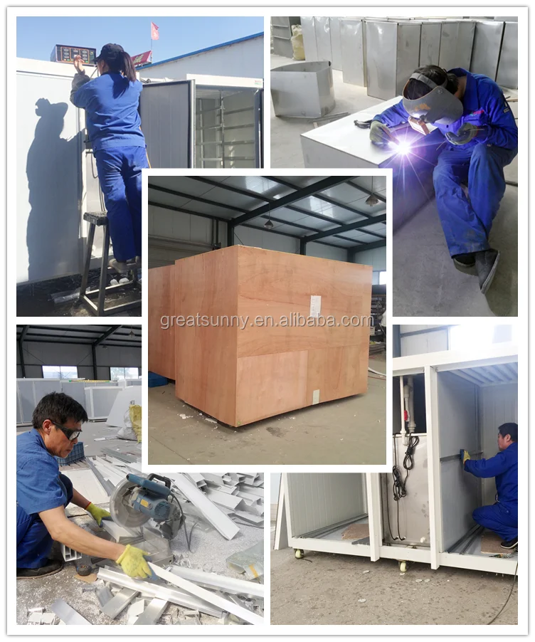 
High Capacity Barley/Bean Sprout Machine/Garlic Seedling Machine 