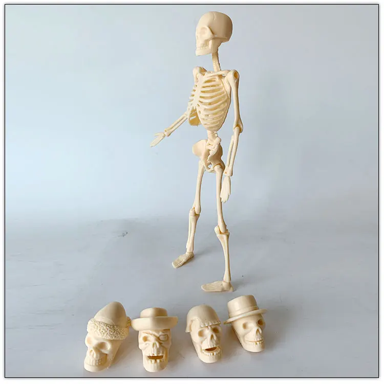 20CM can be assembled human skeleton model toy bone gifts