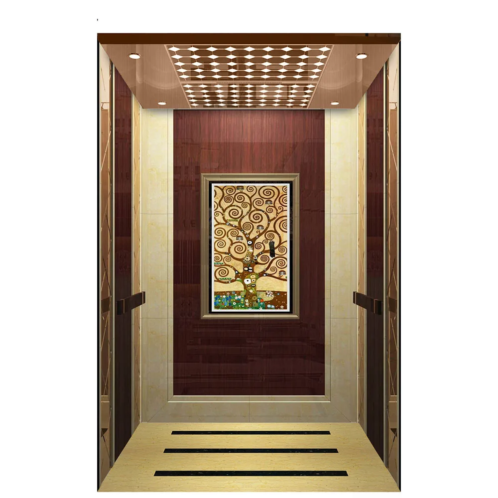 Дешевый небольшой комплект домашнего лифта, Небольшие домашние Лифты по низкой цене