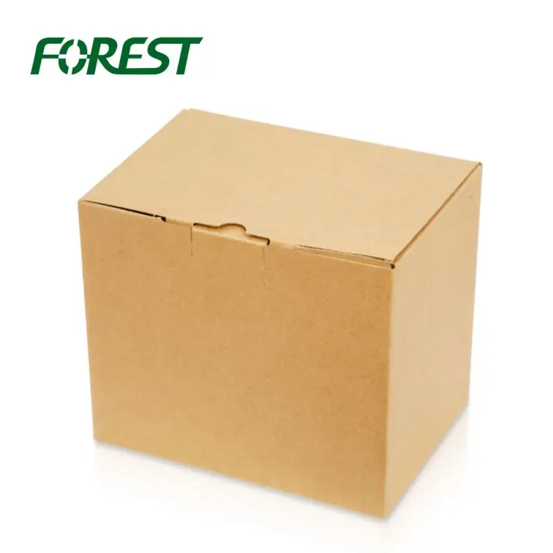 
Forest Packing Automatic Corrugated Plant Large Cylinder Cardboard Box 