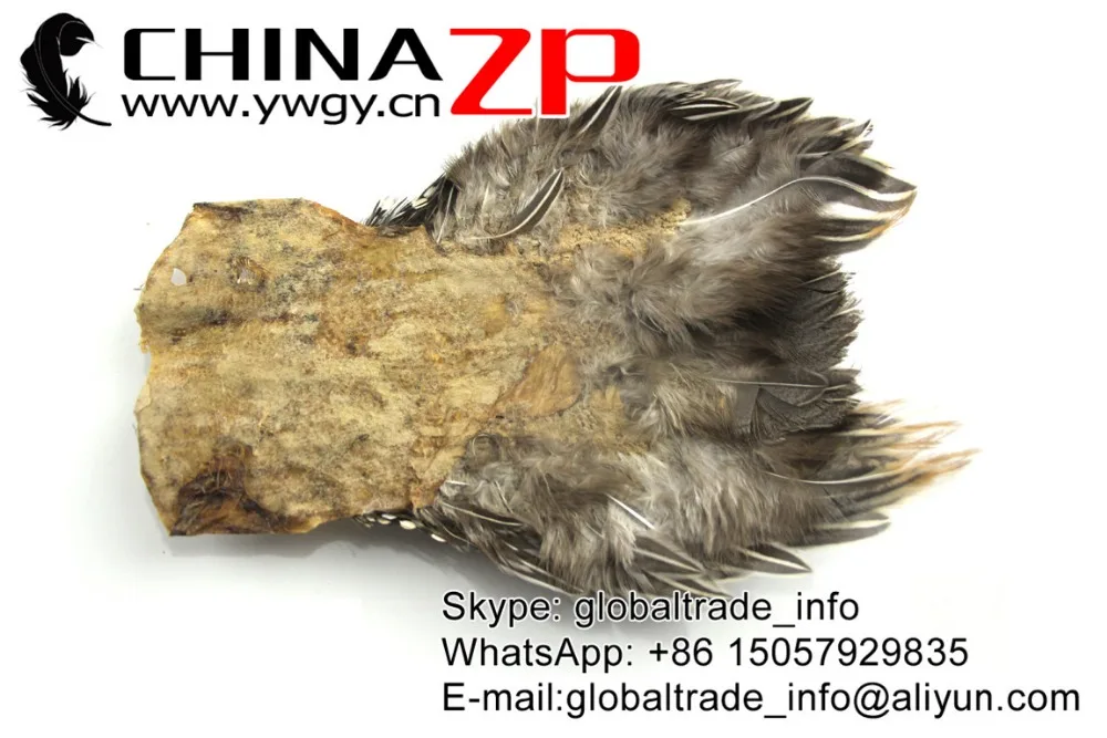 
ZPDECOR Wholesale in Stock Top Grade Natural Gold Jungle Cock Cape Complete Pelt with Feathers 