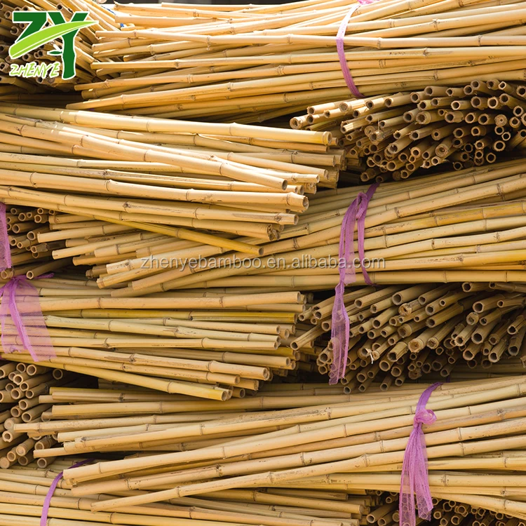 ZY-1001 Chinese Cheap Factory Price Bamboo Sticks for Garden, Construction and Decoration !