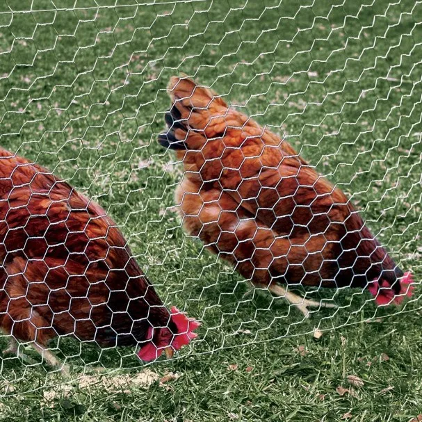 Anping factory hexagonal triple twist chicken wire used for stucco wire netting mesh price