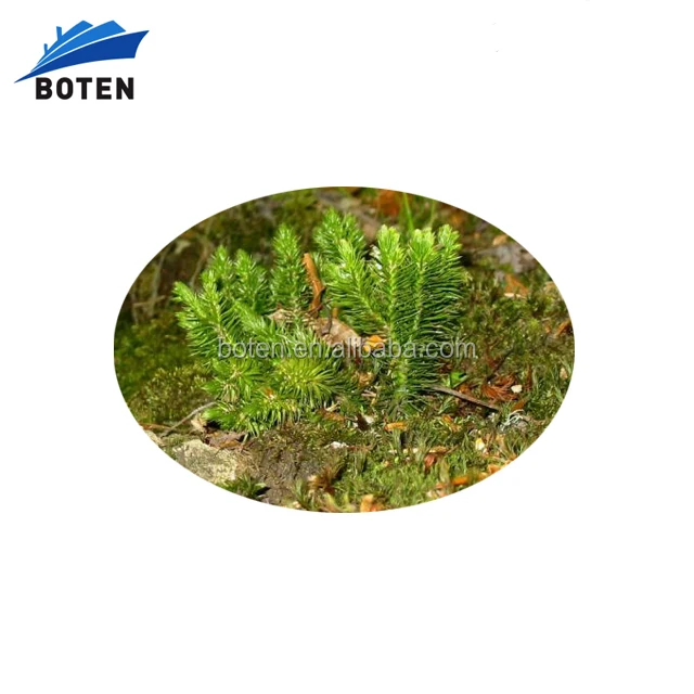 1%-98% Huperzine A Huperzia Serrata P.E.