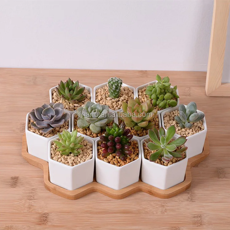
Tray Glazed Pottery Planters with Bamboo Zakka Combination Potted Six Sides Indoor for Home, Garden Used with Flower/green Plant 