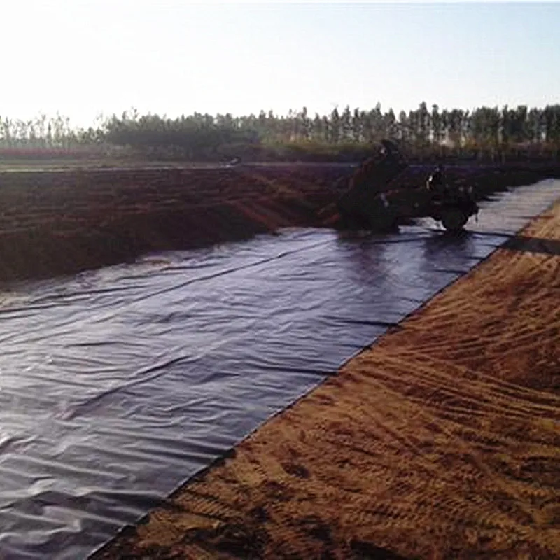 geomembrane liner
