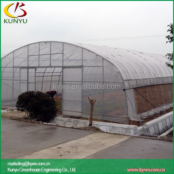 Single Tunnel Polycarbonate Greenhouse for Growing Vegetable