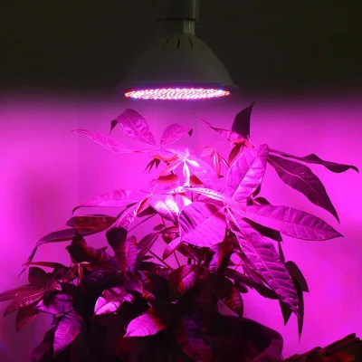 High brightness fruits and vegetables growth lighting E26 E27 cob led grow lighting 26w with low price