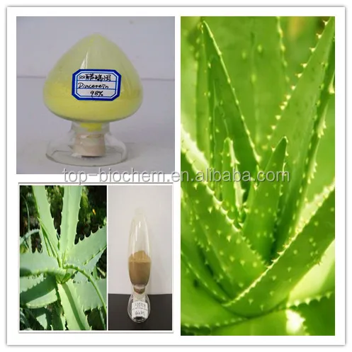 
High quality wholesale Aloe Vera Gel Extract/Aloe Vera Plant Extract 