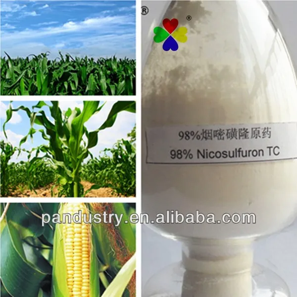 
Effective Herbicide Nicosulfuron Technical Price for Plant 