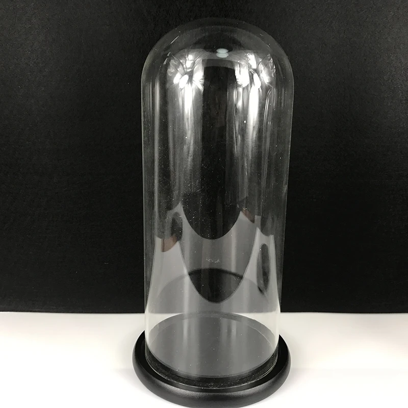 
OEM Factory Directly Glass Plant Terrarium High Quality Display Glass Dome Wholesale Glass Dome with Wooden Base 
