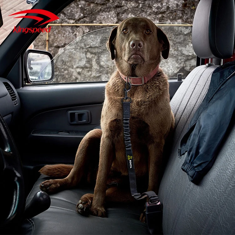 Amazon Hot Sale Adjustable Pet Dog Cat Car Seat Belt Safety Seatbelt Leash with Elastic Buffer Bungee