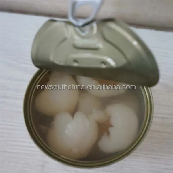 canned lychees  fruits in syrup 567g/800g/2840g